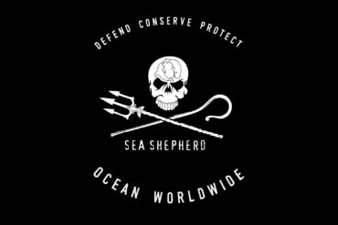 Volontariato difesa oceani